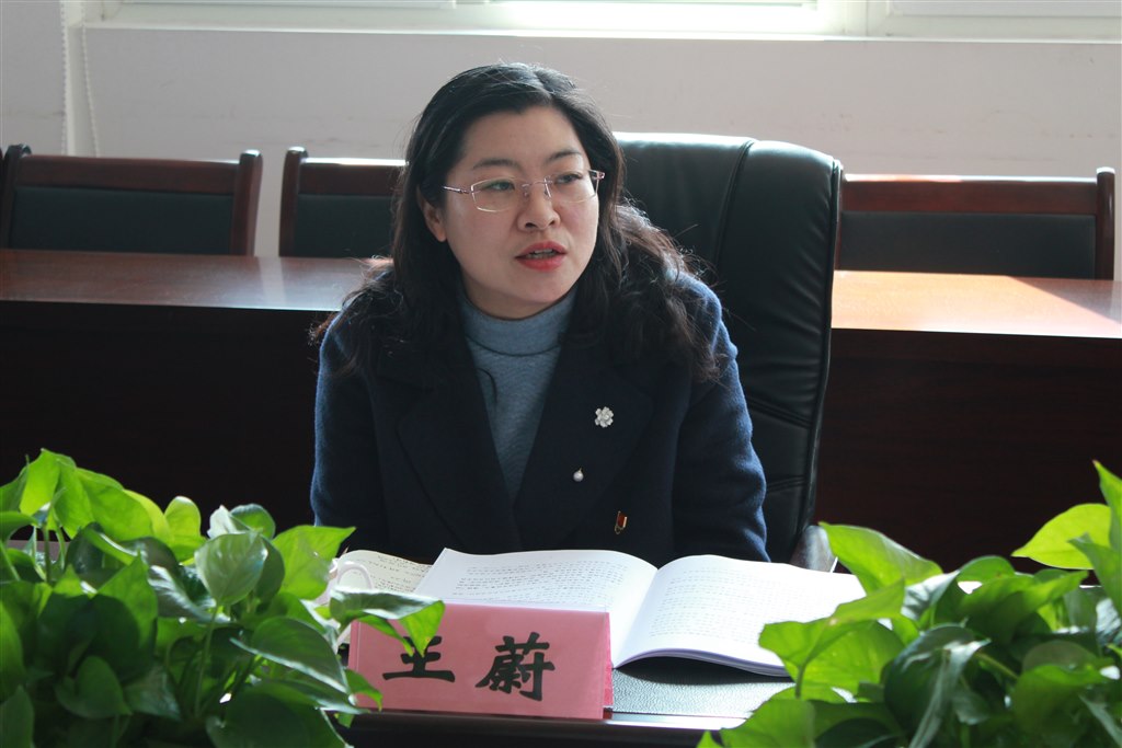 6王蔚處長發(fā)言.JPG 6王蔚處長發(fā)言.JPG