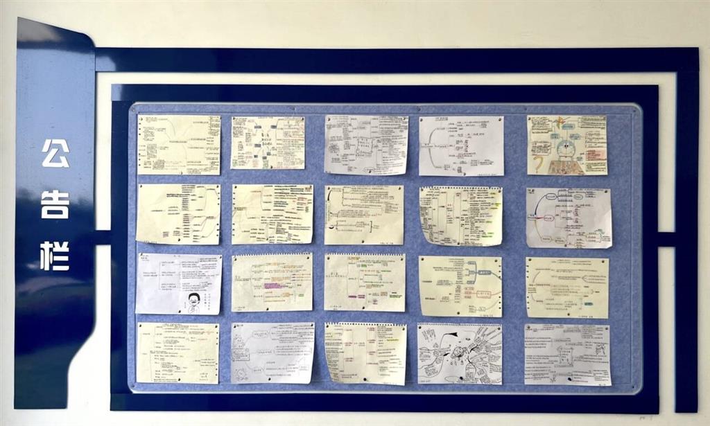 學(xué)生作品公告欄展覽(2).png 學(xué)生作品公告欄展覽(2).png